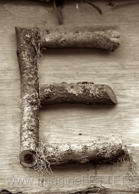 Wall_Art_Alphabet_Photography_Art_ 528.jpg